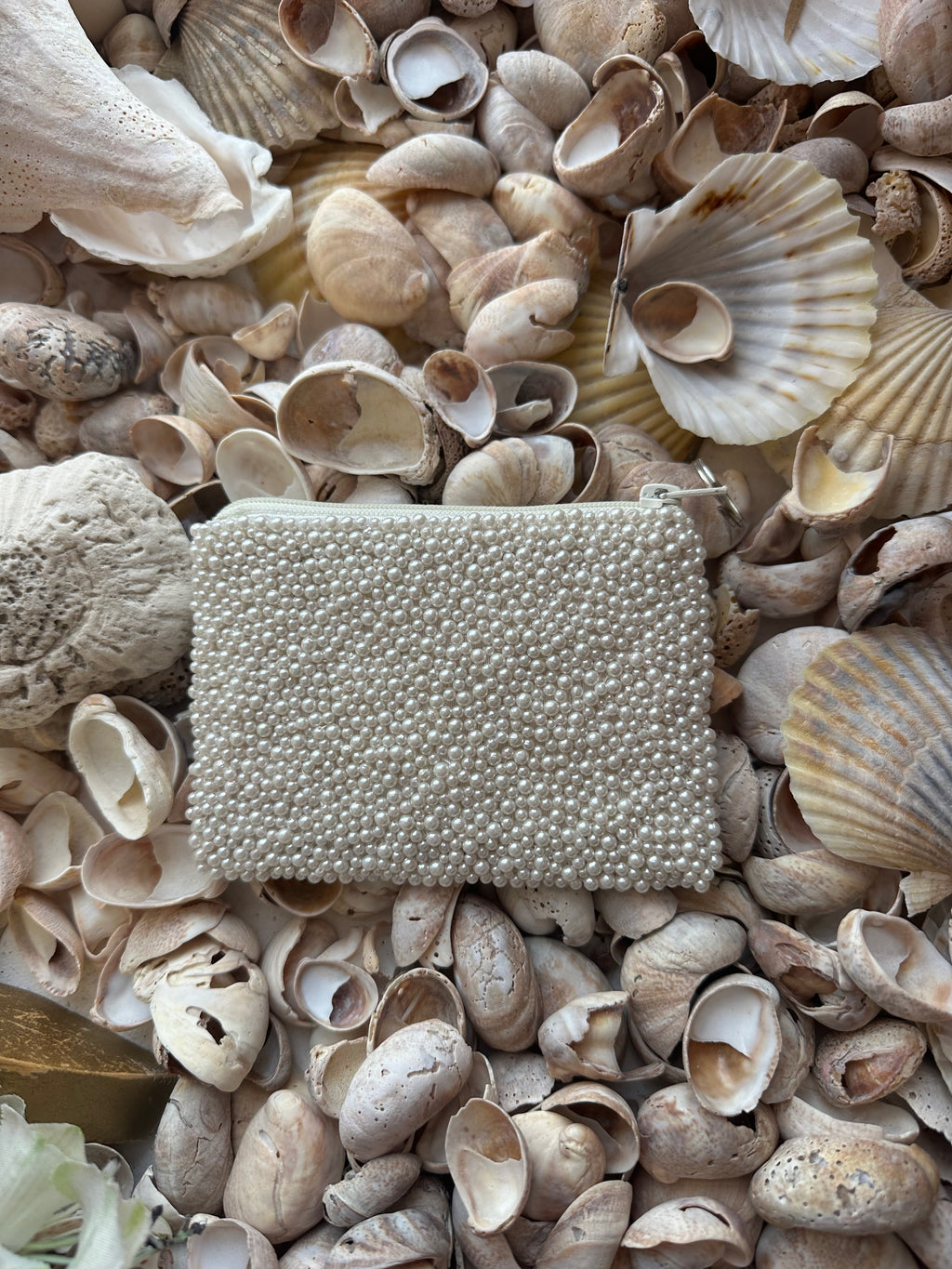 Salty Beach Coin Purse in Pearl and Navy