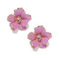 The Pink Reef Small Double Florals in Peony