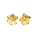 The Pink Reef Small Golden Jewel Box