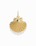 Shell Charm