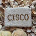 CISCO Coin Purse in White & Gold