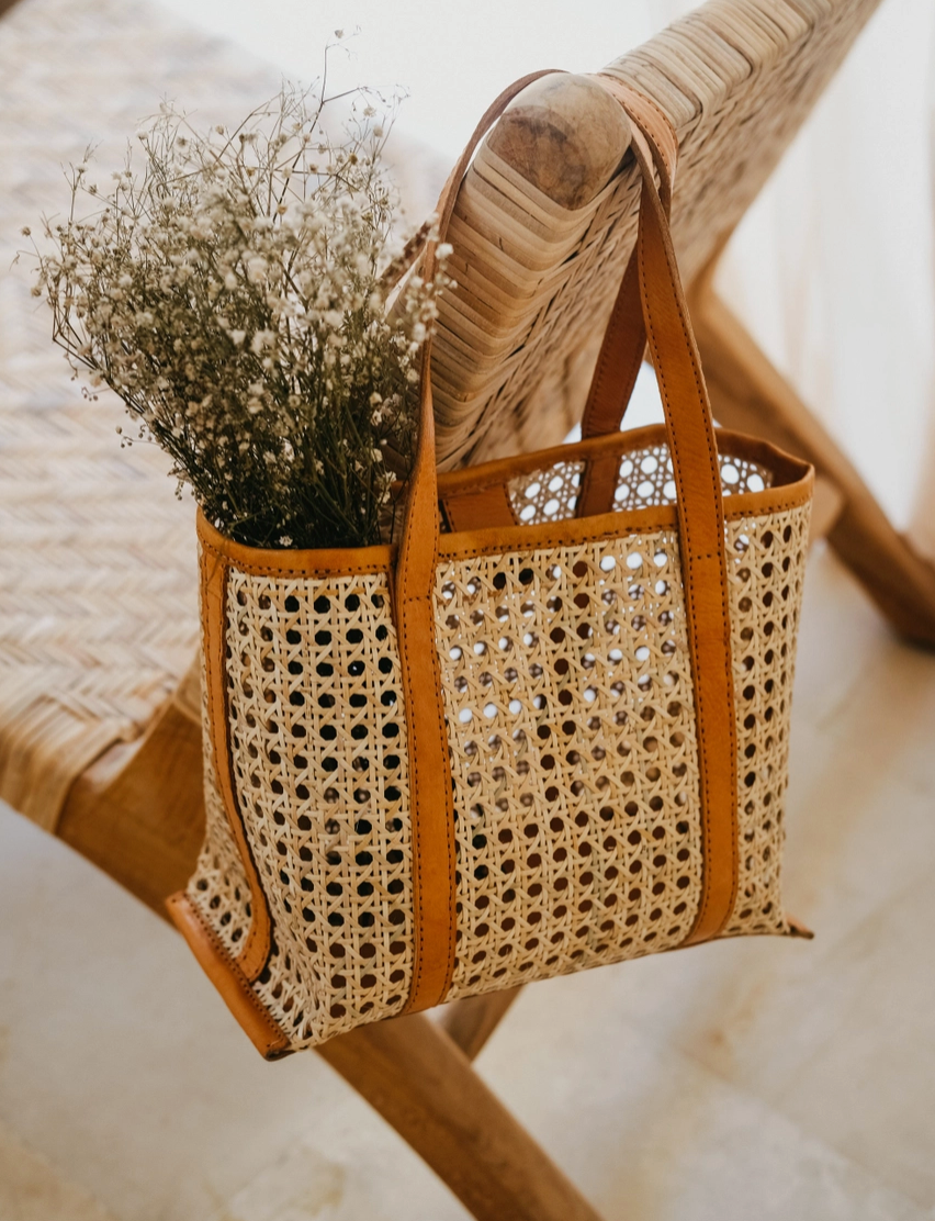 Main Street Mini Tote