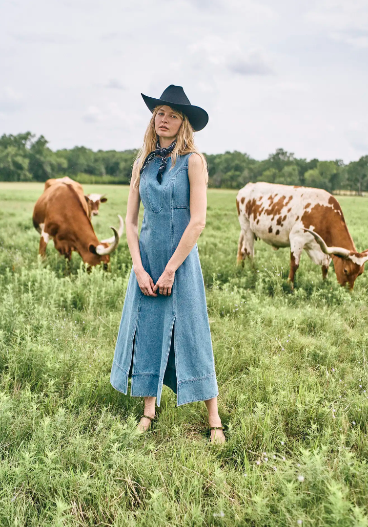 Hunter Bell Sedona Dress in Vintage Denim