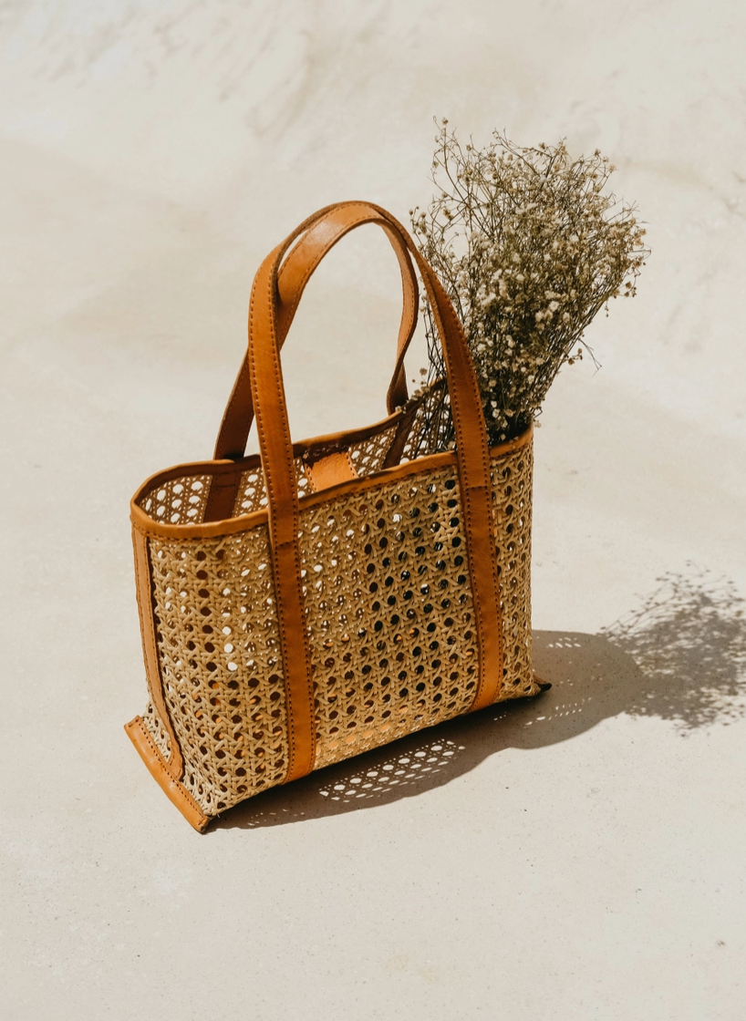 Main Street Mini Tote